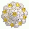 Swarovski Rhinestoned Berry Concho